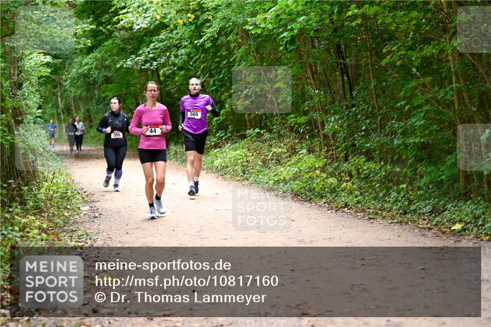 11.10.2026 - Bramfelder Halbmarathon 2026 Dr. Thomas Lammeyer http://msf.ph/oto/10817160 11.10.2026 09:56:17 Laufen 355, 44, 565 meine-sportfotos.de