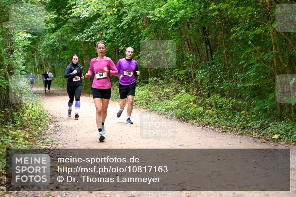 11.10.2026 - Bramfelder Halbmarathon 2026 Dr. Thomas Lammeyer http://msf.ph/oto/10817163 11.10.2026 09:56:18 Laufen 355, 44, 565 meine-sportfotos.de