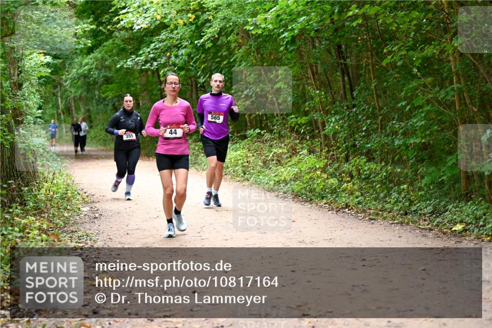 11.10.2026 - Bramfelder Halbmarathon 2026 Dr. Thomas Lammeyer http://msf.ph/oto/10817164 11.10.2026 09:56:18 Laufen 355, 44, 565 meine-sportfotos.de
