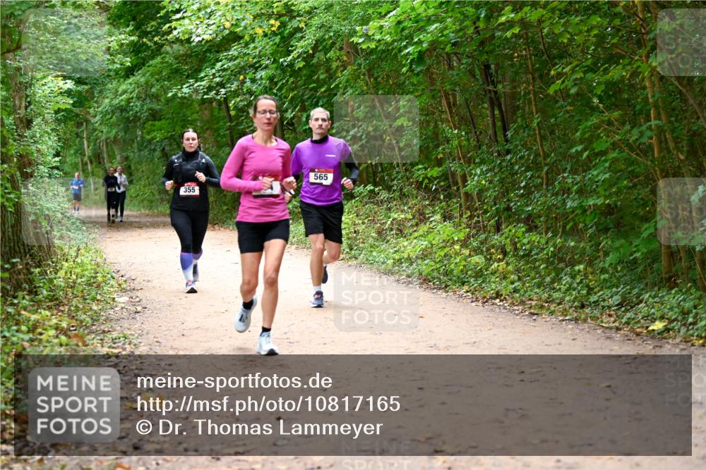 11.10.2026 - Bramfelder Halbmarathon 2026 Dr. Thomas Lammeyer http://msf.ph/oto/10817165 11.10.2026 09:56:18 Laufen 565, 355 meine-sportfotos.de