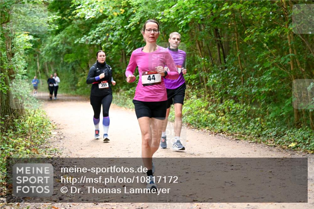 11.10.2026 - Bramfelder Halbmarathon 2026 Dr. Thomas Lammeyer http://msf.ph/oto/10817172 11.10.2026 09:56:19 Laufen 44, 355 meine-sportfotos.de