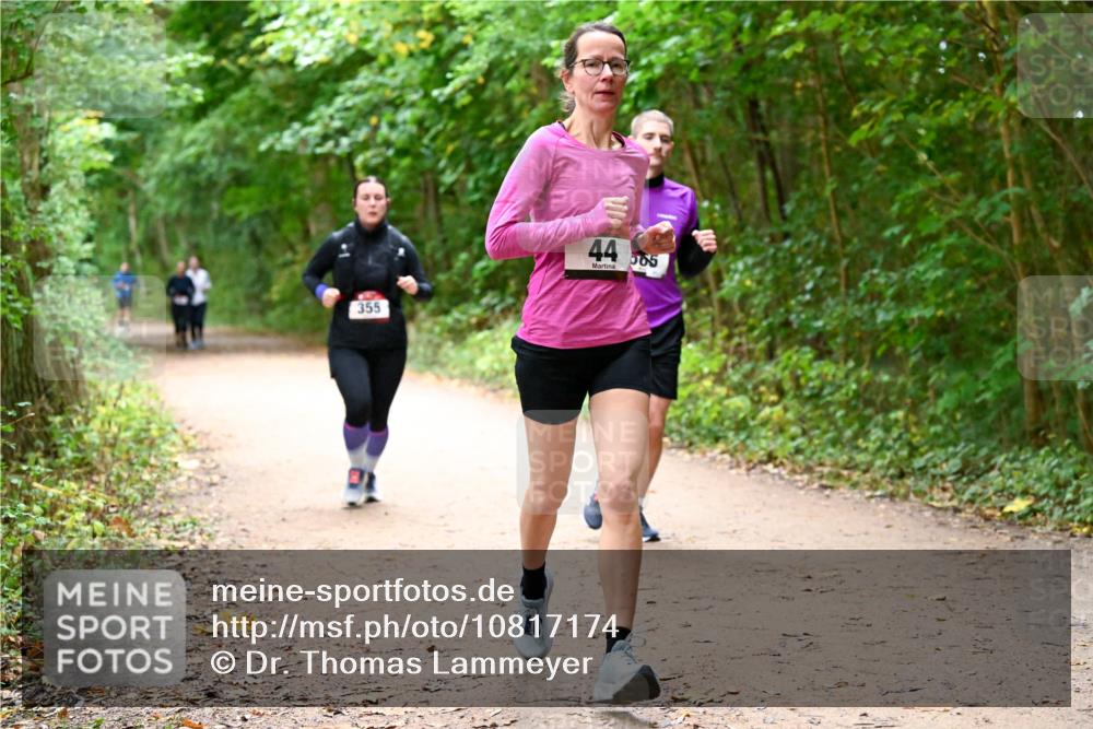 11.10.2026 - Bramfelder Halbmarathon 2026 Dr. Thomas Lammeyer http://msf.ph/oto/10817174 11.10.2026 09:56:19 Laufen 355, 44, 565 meine-sportfotos.de