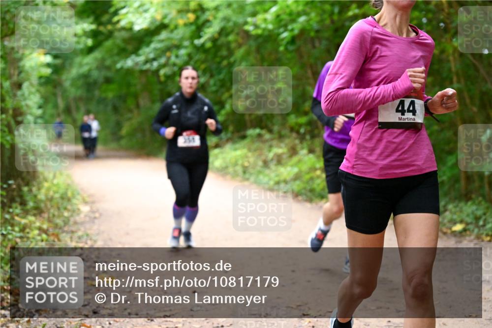 11.10.2026 - Bramfelder Halbmarathon 2026 Dr. Thomas Lammeyer http://msf.ph/oto/10817179 11.10.2026 09:56:20 Laufen 251, 44 meine-sportfotos.de