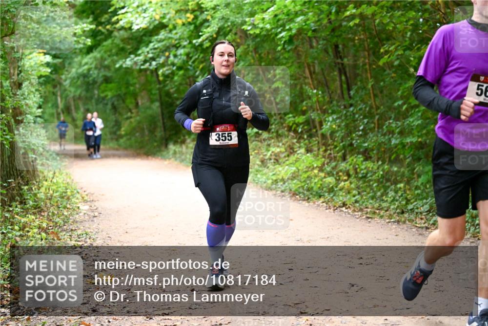 11.10.2026 - Bramfelder Halbmarathon 2026 Dr. Thomas Lammeyer http://msf.ph/oto/10817184 11.10.2026 09:56:21 Laufen 355, 56 meine-sportfotos.de