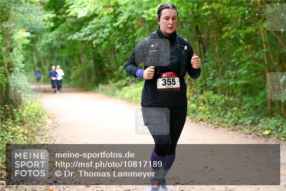 11.10.2026 - Bramfelder Halbmarathon 2026 Dr. Thomas Lammeyer http://msf.ph/oto/10817189 11.10.2026 09:56:21 Laufen 355 meine-sportfotos.de