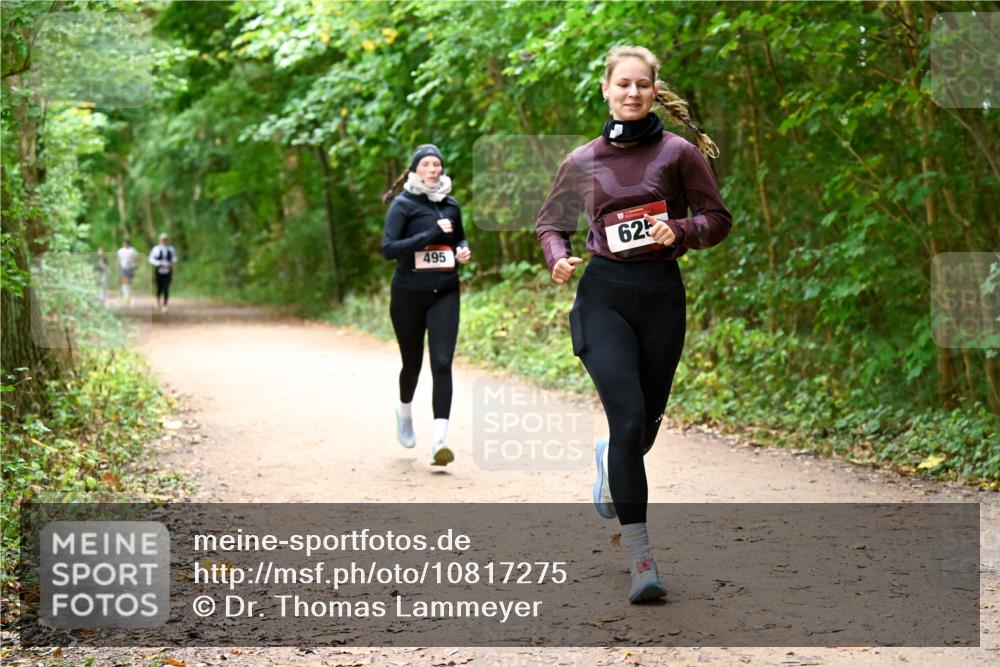 11.10.2026 - Bramfelder Halbmarathon 2026 Dr. Thomas Lammeyer http://msf.ph/oto/10817275 11.10.2026 09:56:46 Laufen 495, 625 meine-sportfotos.de