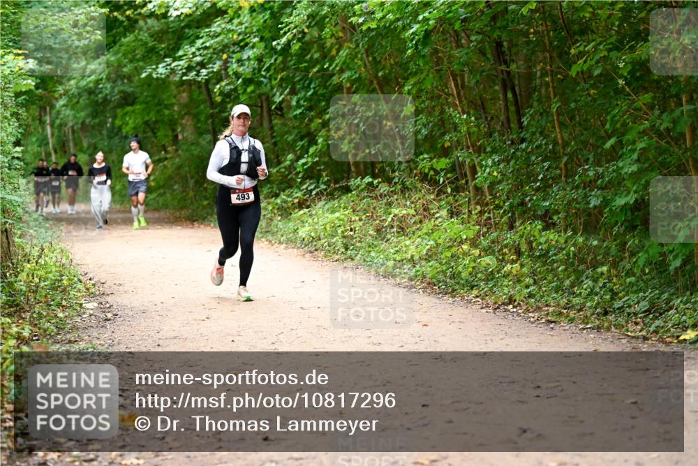 11.10.2026 - Bramfelder Halbmarathon 2026 Dr. Thomas Lammeyer http://msf.ph/oto/10817296 11.10.2026 09:56:58 Laufen 493 meine-sportfotos.de