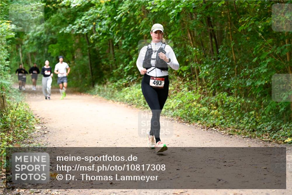11.10.2026 - Bramfelder Halbmarathon 2026 Dr. Thomas Lammeyer http://msf.ph/oto/10817308 11.10.2026 09:56:59 Laufen 493 meine-sportfotos.de