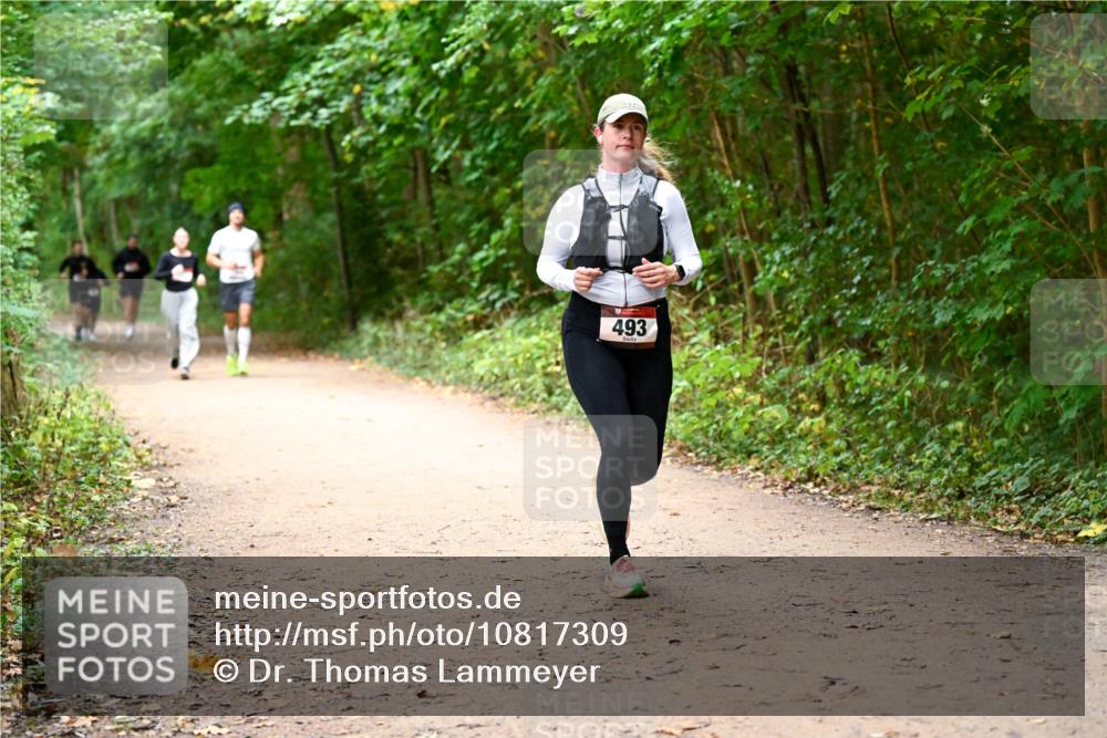 11.10.2026 - Bramfelder Halbmarathon 2026 Dr. Thomas Lammeyer http://msf.ph/oto/10817309 11.10.2026 09:56:59 Laufen 493 meine-sportfotos.de