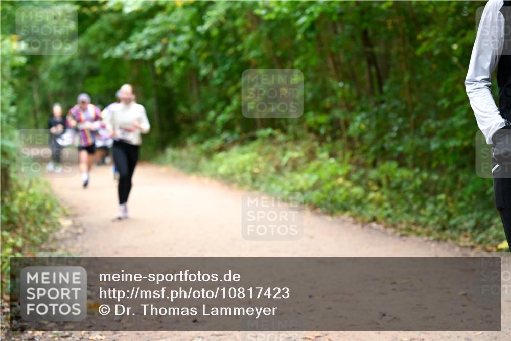 11.10.2026 - Bramfelder Halbmarathon 2026 Dr. Thomas Lammeyer http://msf.ph/oto/10817423 11.10.2026 09:57:22 Laufen  meine-sportfotos.de