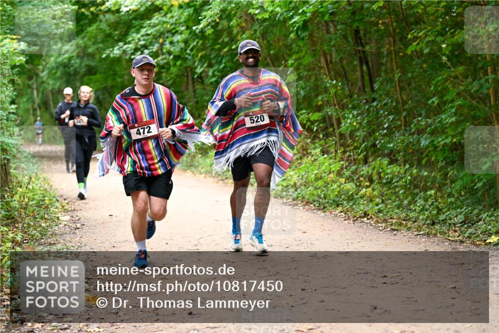 11.10.2026 - Bramfelder Halbmarathon 2026 Dr. Thomas Lammeyer http://msf.ph/oto/10817450 11.10.2026 09:57:26 Laufen 217, 472, 520 meine-sportfotos.de