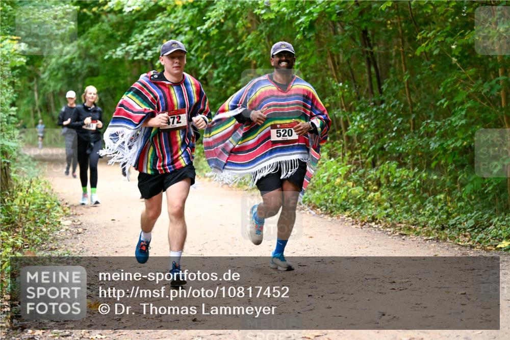 11.10.2026 - Bramfelder Halbmarathon 2026 Dr. Thomas Lammeyer http://msf.ph/oto/10817452 11.10.2026 09:57:27 Laufen 217, 472, 520 meine-sportfotos.de
