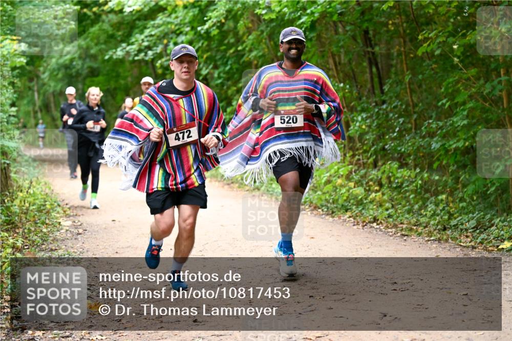 11.10.2026 - Bramfelder Halbmarathon 2026 Dr. Thomas Lammeyer http://msf.ph/oto/10817453 11.10.2026 09:57:27 Laufen 217, 472, 520 meine-sportfotos.de