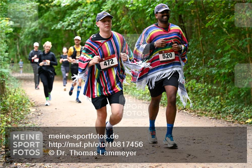 11.10.2026 - Bramfelder Halbmarathon 2026 Dr. Thomas Lammeyer http://msf.ph/oto/10817456 11.10.2026 09:57:27 Laufen 217, 217, 472, 520 meine-sportfotos.de