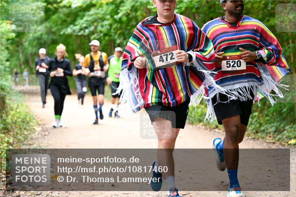 11.10.2026 - Bramfelder Halbmarathon 2026 Dr. Thomas Lammeyer http://msf.ph/oto/10817460 11.10.2026 09:57:28 Laufen 472, 520 meine-sportfotos.de