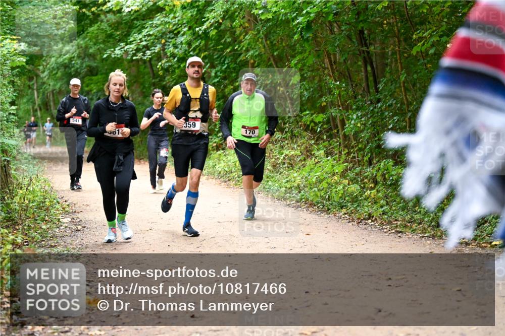 11.10.2026 - Bramfelder Halbmarathon 2026 Dr. Thomas Lammeyer http://msf.ph/oto/10817466 11.10.2026 09:57:29 Laufen 541, 01, 50, 359, 170 meine-sportfotos.de