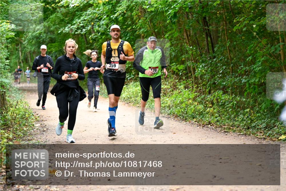 11.10.2026 - Bramfelder Halbmarathon 2026 Dr. Thomas Lammeyer http://msf.ph/oto/10817468 11.10.2026 09:57:29 Laufen 541, 6, 50, 359, 170 meine-sportfotos.de