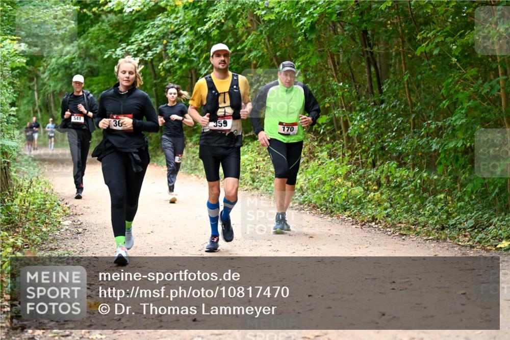 11.10.2026 - Bramfelder Halbmarathon 2026 Dr. Thomas Lammeyer http://msf.ph/oto/10817470 11.10.2026 09:57:29 Laufen 541, 36, 50, 359, 170 meine-sportfotos.de