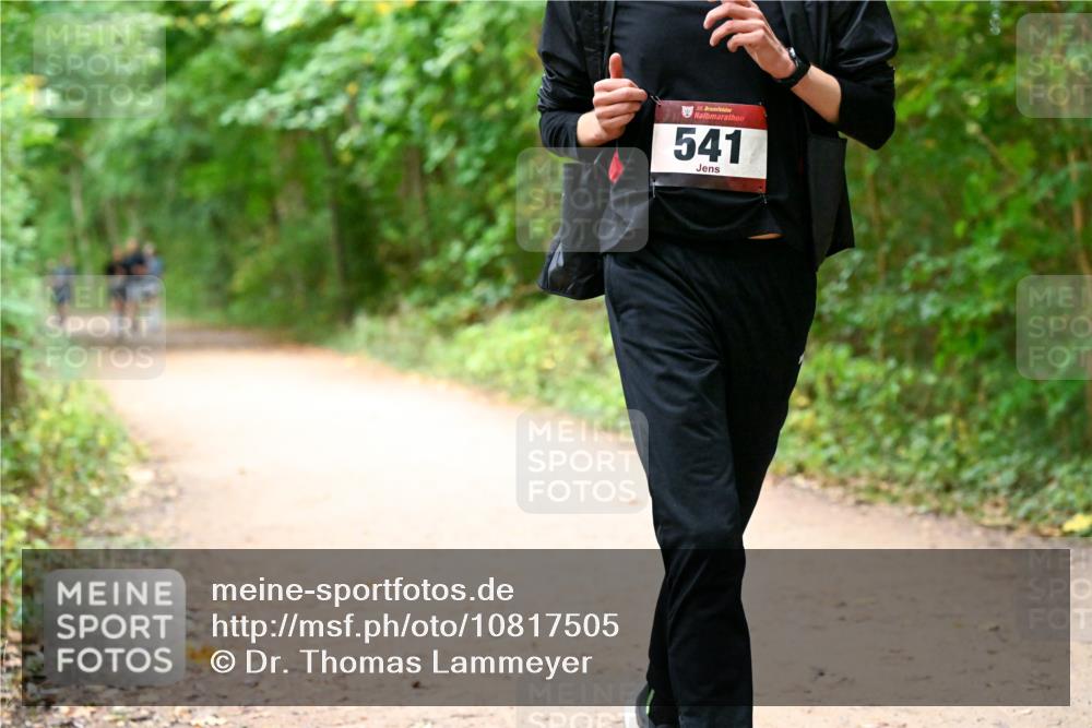 11.10.2026 - Bramfelder Halbmarathon 2026 Dr. Thomas Lammeyer http://msf.ph/oto/10817505 11.10.2026 09:57:35 Laufen 35, 541 meine-sportfotos.de