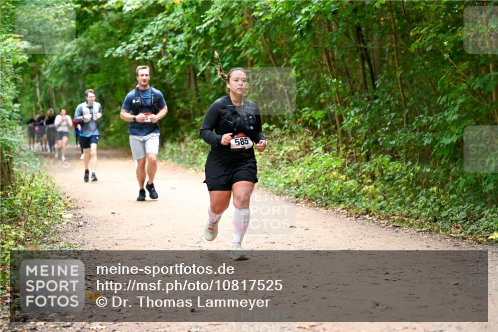 11.10.2026 - Bramfelder Halbmarathon 2026 Dr. Thomas Lammeyer http://msf.ph/oto/10817525 11.10.2026 09:57:47 Laufen 585 meine-sportfotos.de