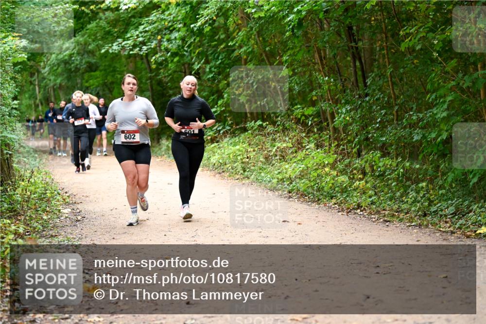 11.10.2026 - Bramfelder Halbmarathon 2026 Dr. Thomas Lammeyer http://msf.ph/oto/10817580 11.10.2026 09:57:56 Laufen 357, 602 meine-sportfotos.de