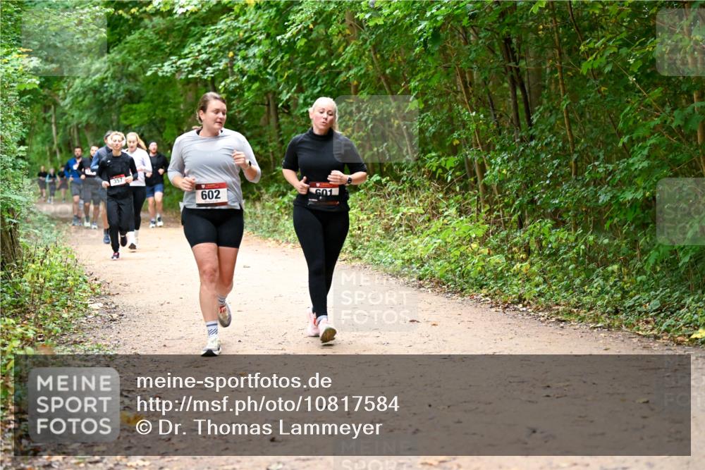 11.10.2026 - Bramfelder Halbmarathon 2026 Dr. Thomas Lammeyer http://msf.ph/oto/10817584 11.10.2026 09:57:57 Laufen 357, 602, 601 meine-sportfotos.de