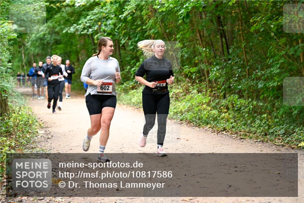 11.10.2026 - Bramfelder Halbmarathon 2026 Dr. Thomas Lammeyer http://msf.ph/oto/10817586 11.10.2026 09:57:57 Laufen 100, 602 meine-sportfotos.de