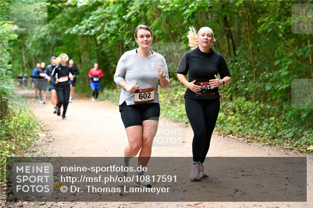 11.10.2026 - Bramfelder Halbmarathon 2026 Dr. Thomas Lammeyer http://msf.ph/oto/10817591 11.10.2026 09:57:58 Laufen 602 meine-sportfotos.de