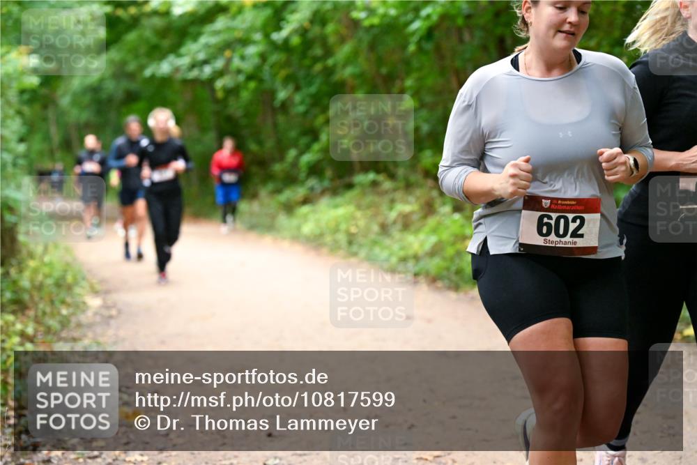 11.10.2026 - Bramfelder Halbmarathon 2026 Dr. Thomas Lammeyer http://msf.ph/oto/10817599 11.10.2026 09:57:59 Laufen 35, 602 meine-sportfotos.de