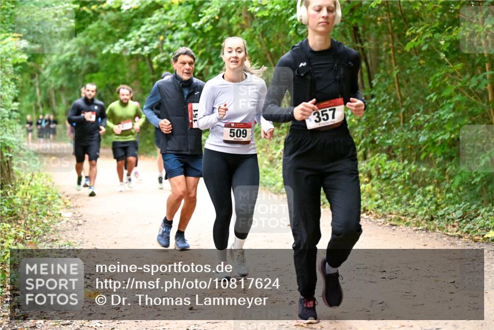 11.10.2026 - Bramfelder Halbmarathon 2026 Dr. Thomas Lammeyer http://msf.ph/oto/10817624 11.10.2026 09:58:03 Laufen 151, 509, 357 meine-sportfotos.de