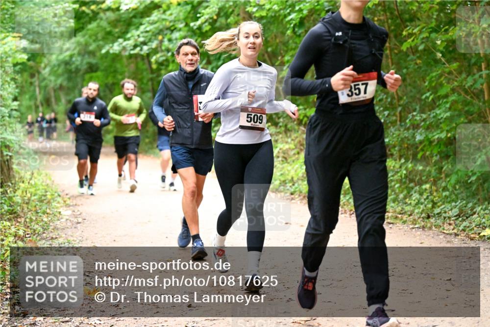 11.10.2026 - Bramfelder Halbmarathon 2026 Dr. Thomas Lammeyer http://msf.ph/oto/10817625 11.10.2026 09:58:03 Laufen 216, 509, 357 meine-sportfotos.de