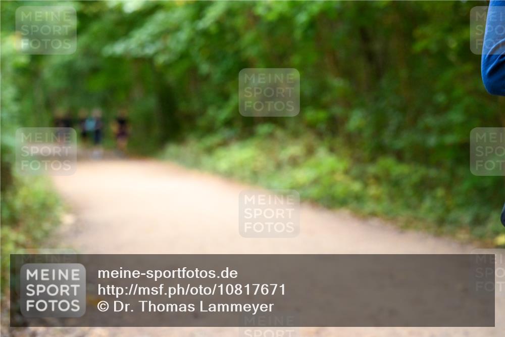 11.10.2026 - Bramfelder Halbmarathon 2026 Dr. Thomas Lammeyer http://msf.ph/oto/10817671 11.10.2026 09:58:10 Laufen  meine-sportfotos.de