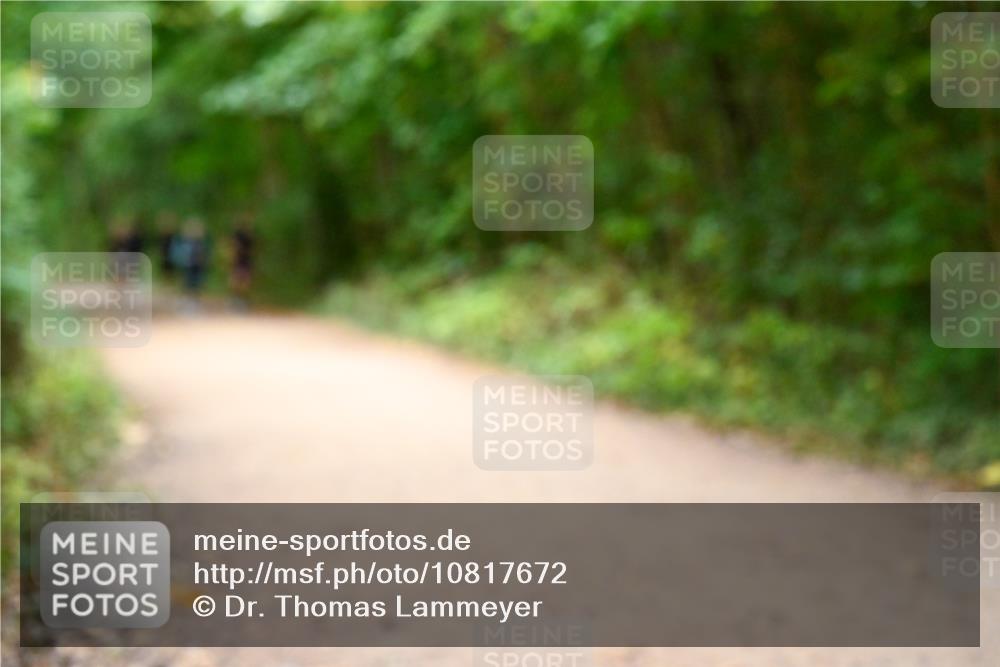 11.10.2026 - Bramfelder Halbmarathon 2026 Dr. Thomas Lammeyer http://msf.ph/oto/10817672 11.10.2026 09:58:10 Laufen  meine-sportfotos.de