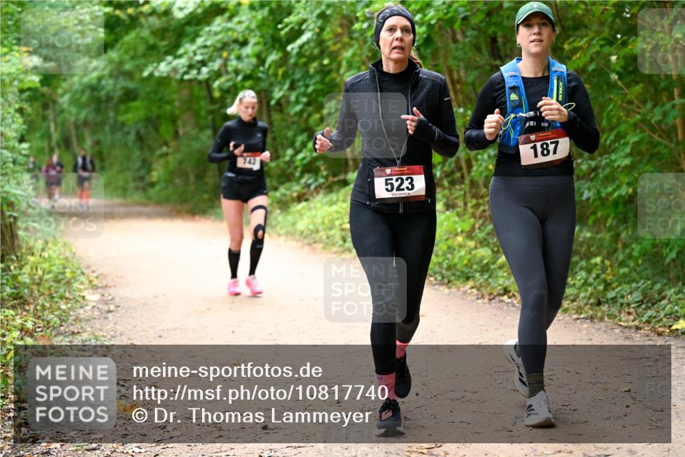 11.10.2026 - Bramfelder Halbmarathon 2026 Dr. Thomas Lammeyer http://msf.ph/oto/10817740 11.10.2026 09:58:39 Laufen 742, 523, 187 meine-sportfotos.de