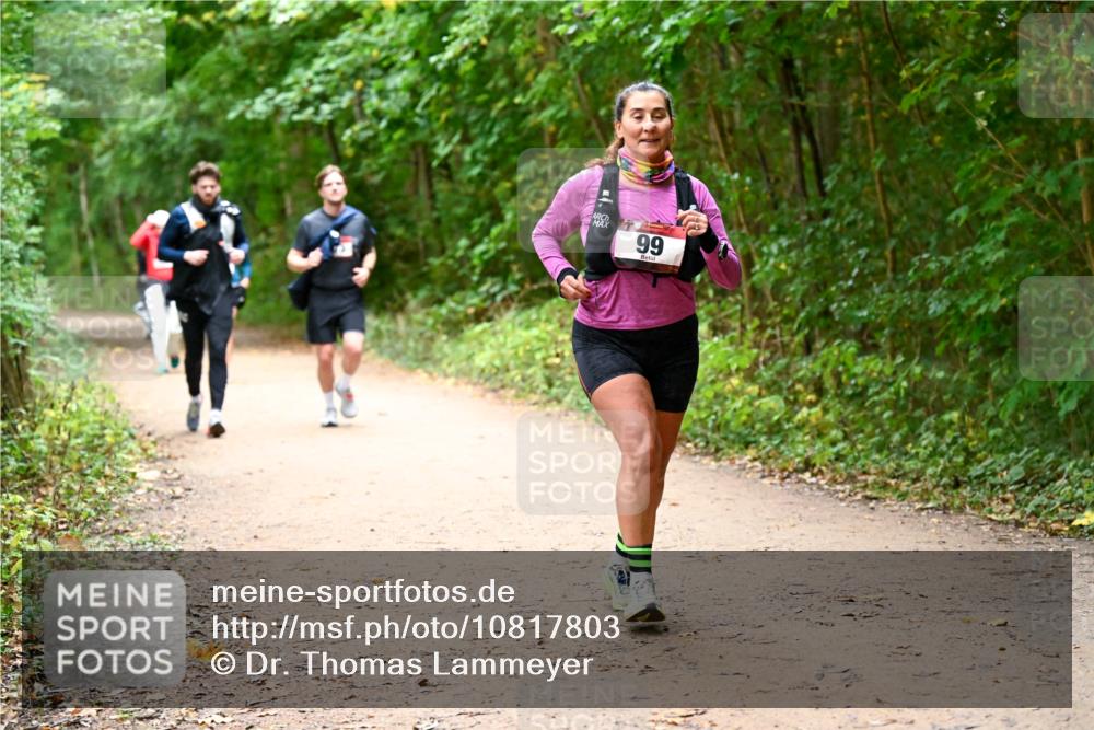 11.10.2026 - Bramfelder Halbmarathon 2026 Dr. Thomas Lammeyer http://msf.ph/oto/10817803 11.10.2026 09:58:57 Laufen 99 meine-sportfotos.de