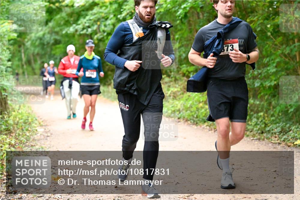 11.10.2026 - Bramfelder Halbmarathon 2026 Dr. Thomas Lammeyer http://msf.ph/oto/10817831 11.10.2026 09:59:02 Laufen 73 meine-sportfotos.de