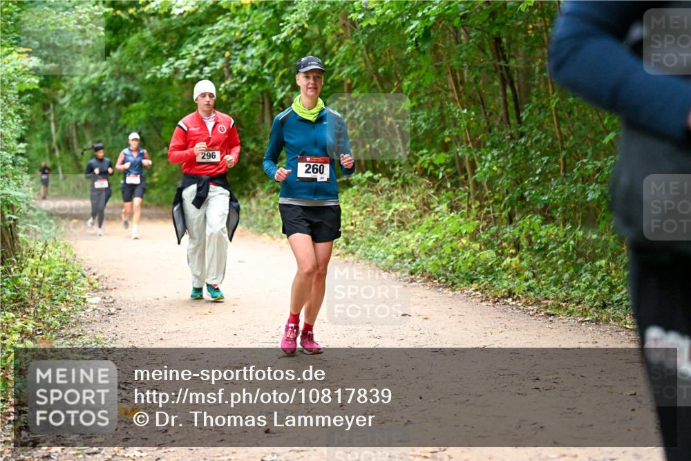 11.10.2026 - Bramfelder Halbmarathon 2026 Dr. Thomas Lammeyer http://msf.ph/oto/10817839 11.10.2026 09:59:03 Laufen 296, 260 meine-sportfotos.de