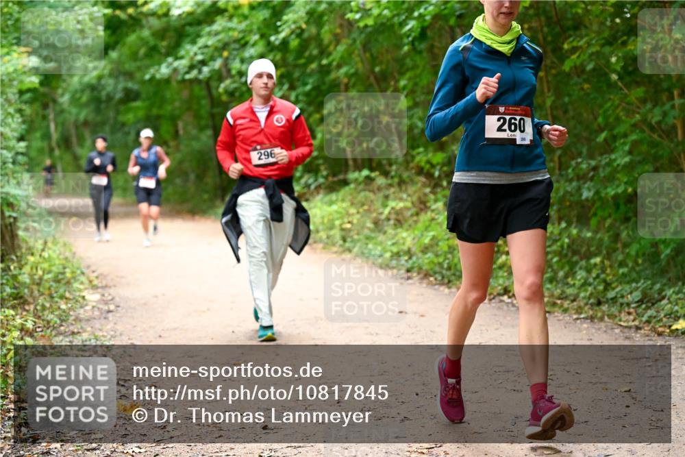11.10.2026 - Bramfelder Halbmarathon 2026 Dr. Thomas Lammeyer http://msf.ph/oto/10817845 11.10.2026 09:59:05 Laufen 296, 260, 280 meine-sportfotos.de