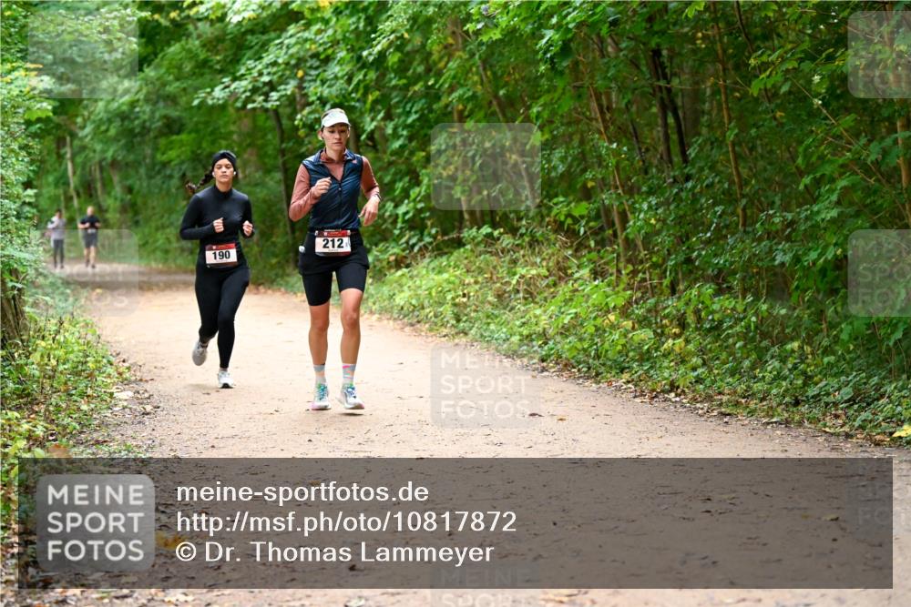 11.10.2026 - Bramfelder Halbmarathon 2026 Dr. Thomas Lammeyer http://msf.ph/oto/10817872 11.10.2026 09:59:09 Laufen 212, 190 meine-sportfotos.de