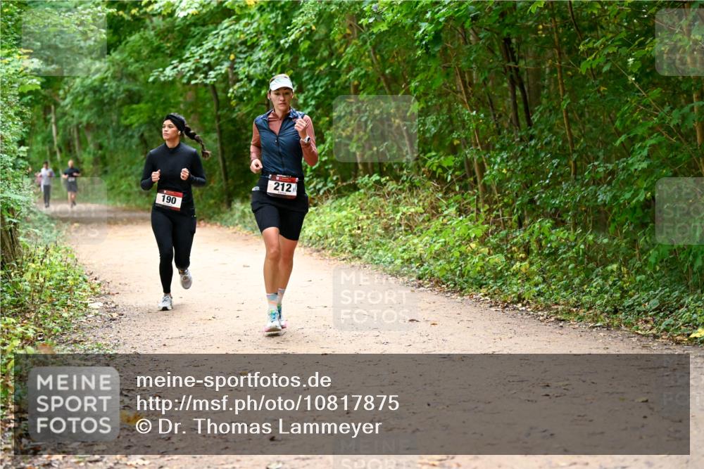 11.10.2026 - Bramfelder Halbmarathon 2026 Dr. Thomas Lammeyer http://msf.ph/oto/10817875 11.10.2026 09:59:09 Laufen 190, 212 meine-sportfotos.de
