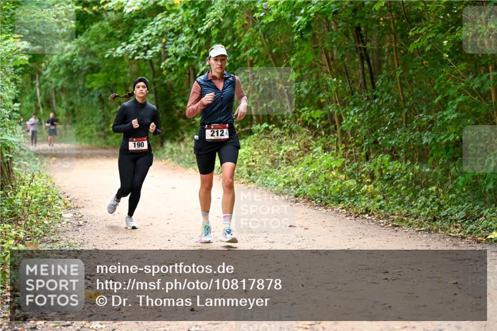 11.10.2026 - Bramfelder Halbmarathon 2026 Dr. Thomas Lammeyer http://msf.ph/oto/10817878 11.10.2026 09:59:10 Laufen 212, 190 meine-sportfotos.de