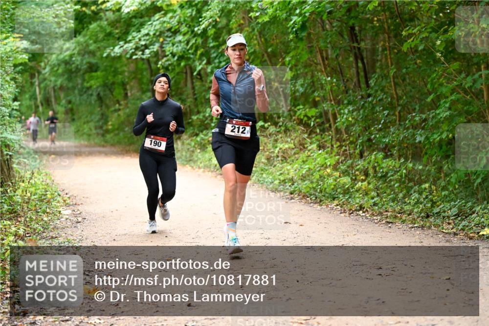11.10.2026 - Bramfelder Halbmarathon 2026 Dr. Thomas Lammeyer http://msf.ph/oto/10817881 11.10.2026 09:59:10 Laufen 190, 212 meine-sportfotos.de
