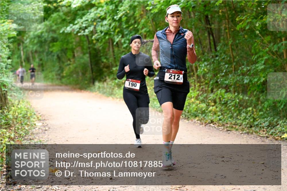 11.10.2026 - Bramfelder Halbmarathon 2026 Dr. Thomas Lammeyer http://msf.ph/oto/10817885 11.10.2026 09:59:11 Laufen 190, 212 meine-sportfotos.de
