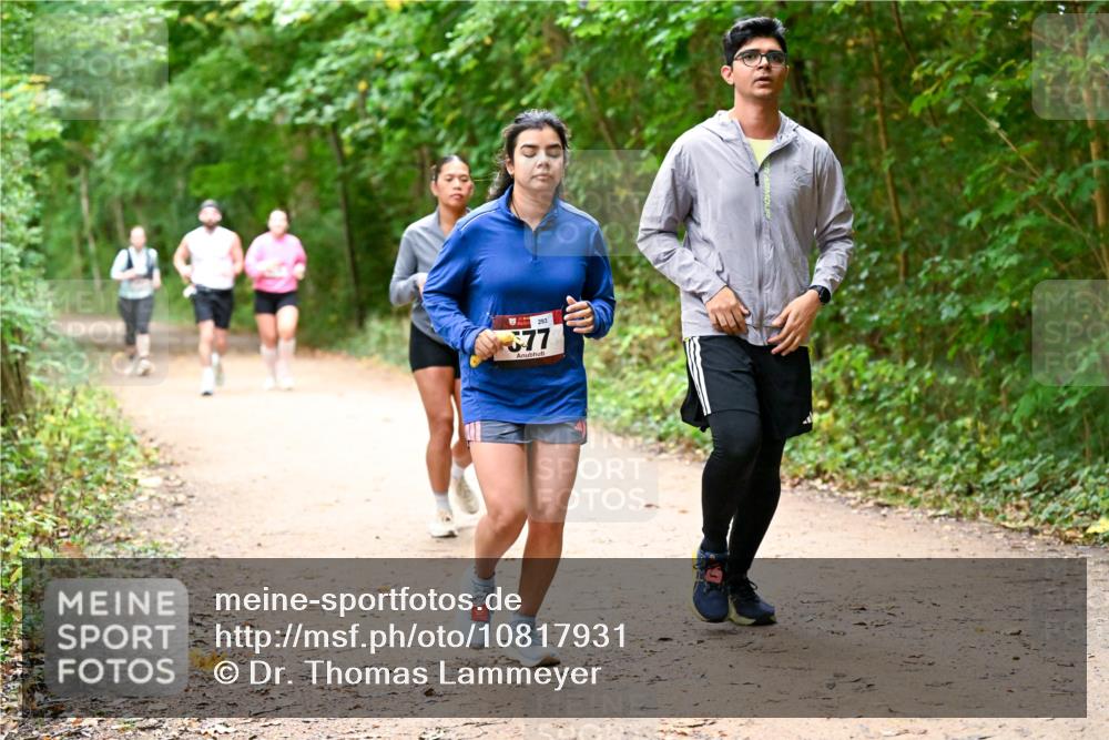 11.10.2026 - Bramfelder Halbmarathon 2026 Dr. Thomas Lammeyer http://msf.ph/oto/10817931 11.10.2026 09:59:33 Laufen 293, 77 meine-sportfotos.de