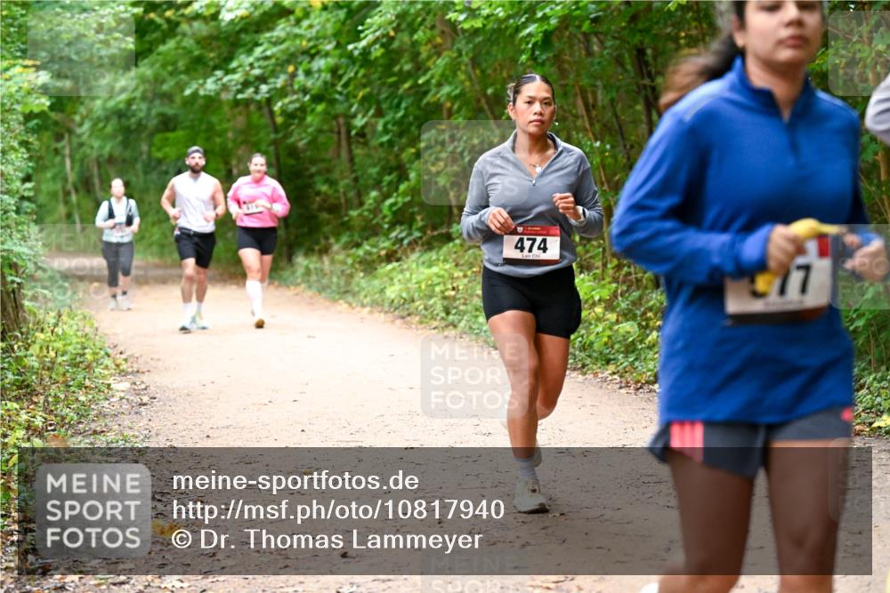 11.10.2026 - Bramfelder Halbmarathon 2026 Dr. Thomas Lammeyer http://msf.ph/oto/10817940 11.10.2026 09:59:34 Laufen 474, 077 meine-sportfotos.de