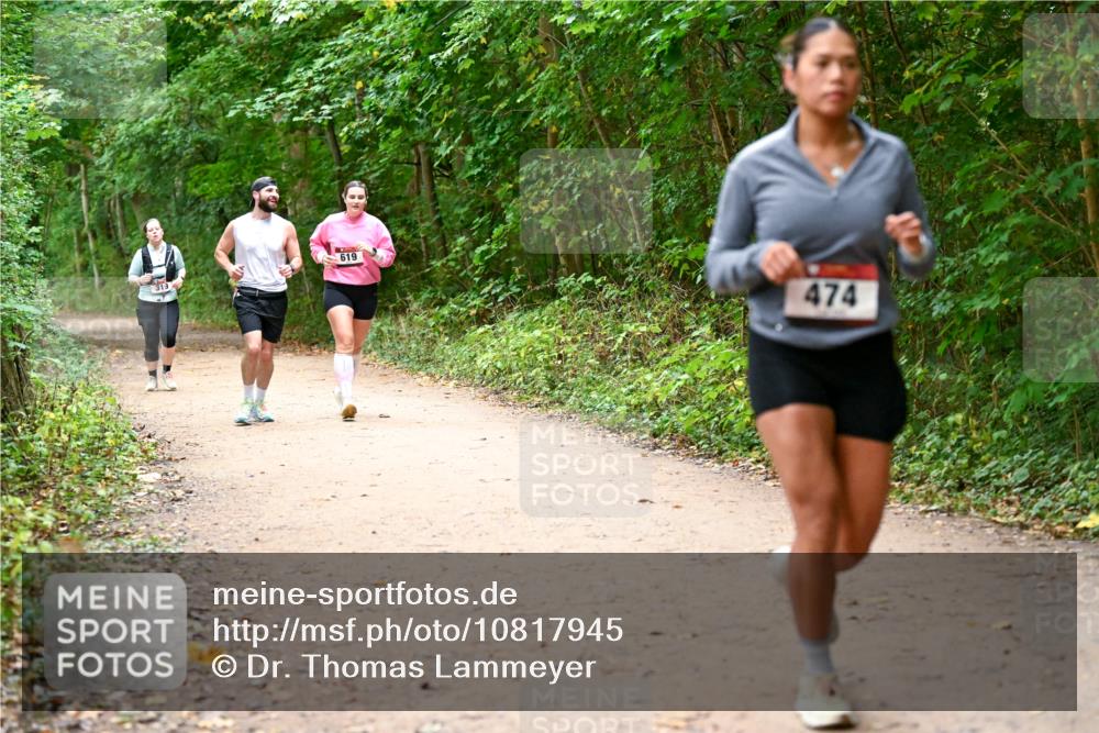 11.10.2026 - Bramfelder Halbmarathon 2026 Dr. Thomas Lammeyer http://msf.ph/oto/10817945 11.10.2026 09:59:35 Laufen 319, 619, 474 meine-sportfotos.de