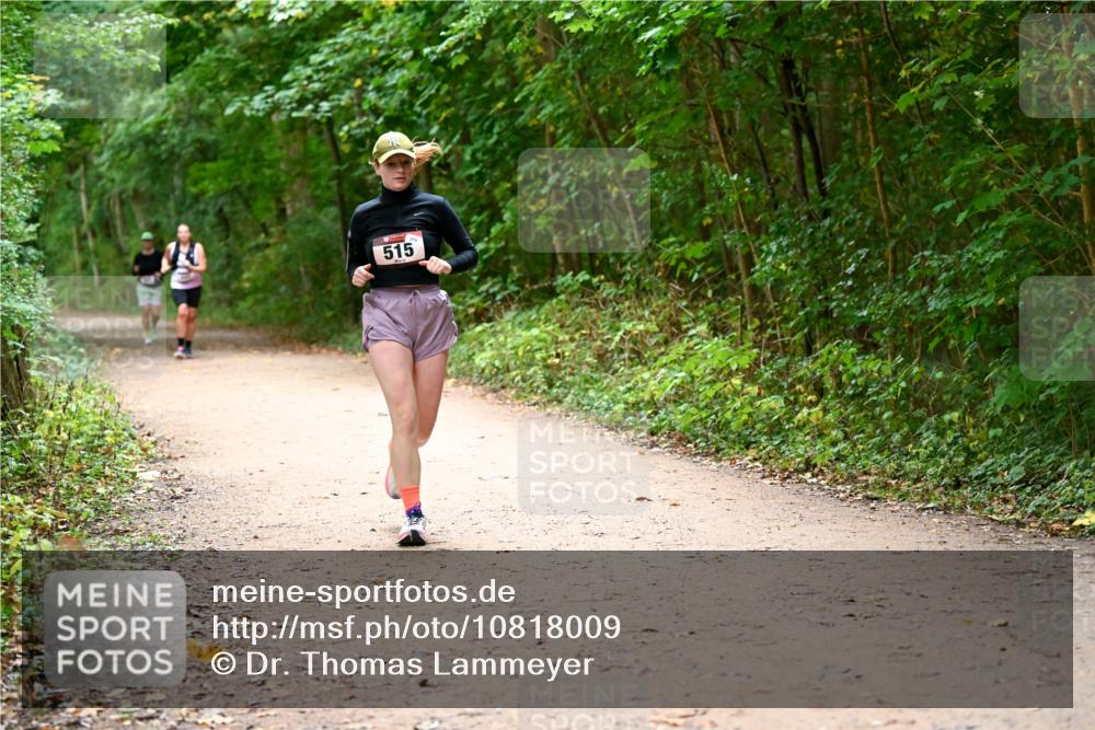 11.10.2026 - Bramfelder Halbmarathon 2026 Dr. Thomas Lammeyer http://msf.ph/oto/10818009 11.10.2026 10:00:00 Laufen 515 meine-sportfotos.de