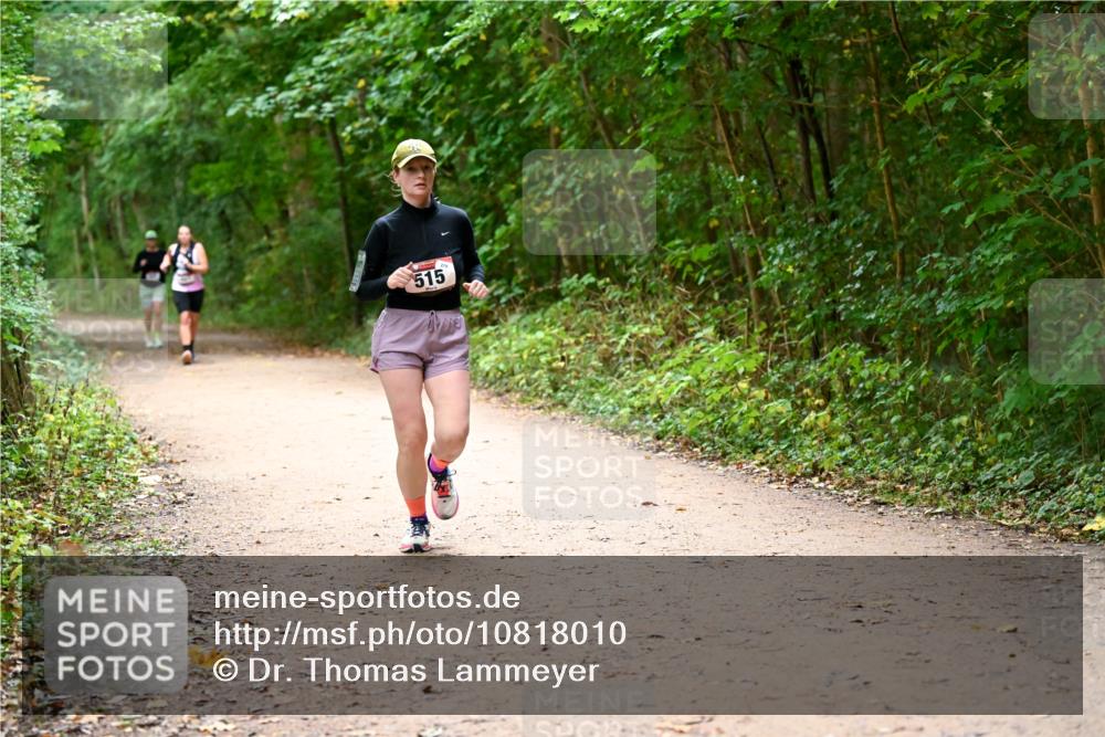 11.10.2026 - Bramfelder Halbmarathon 2026 Dr. Thomas Lammeyer http://msf.ph/oto/10818010 11.10.2026 10:00:00 Laufen 515 meine-sportfotos.de