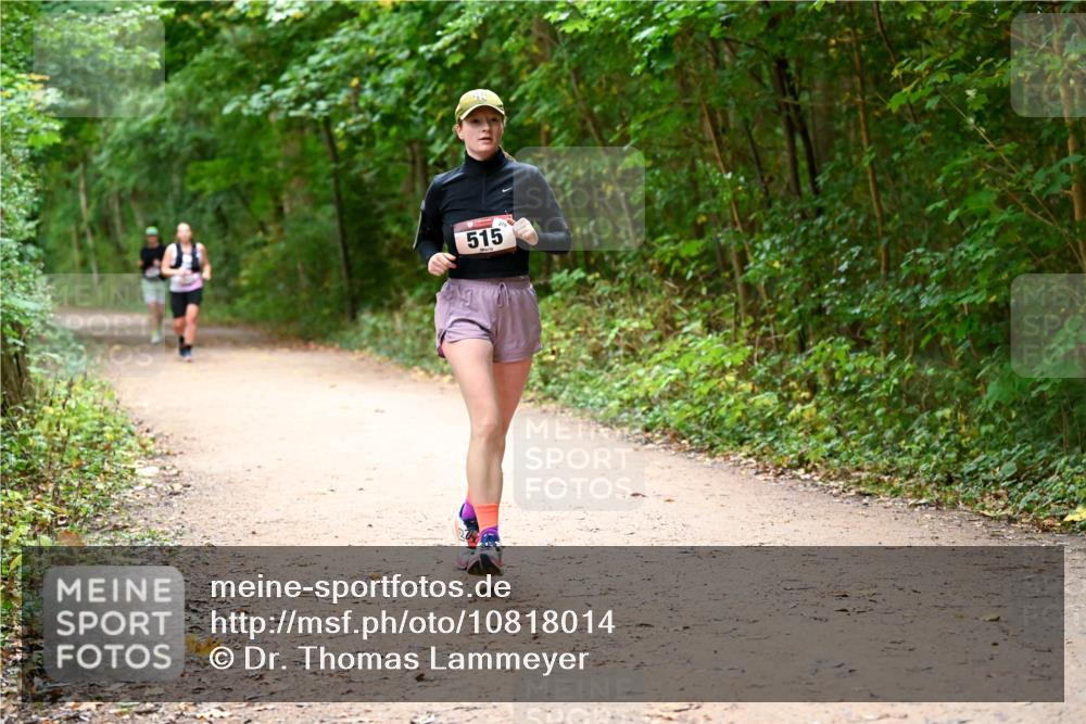 11.10.2026 - Bramfelder Halbmarathon 2026 Dr. Thomas Lammeyer http://msf.ph/oto/10818014 11.10.2026 10:00:00 Laufen 515 meine-sportfotos.de