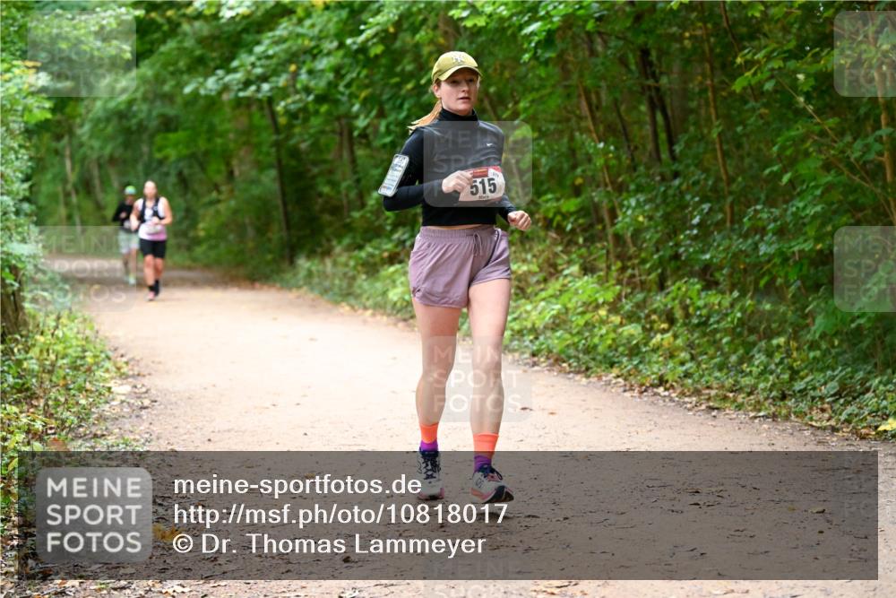 11.10.2026 - Bramfelder Halbmarathon 2026 Dr. Thomas Lammeyer http://msf.ph/oto/10818017 11.10.2026 10:00:01 Laufen 515 meine-sportfotos.de